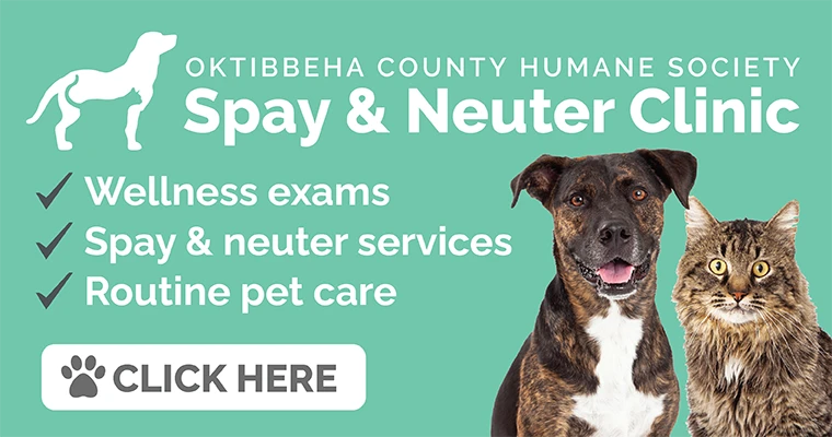 Healthy Pets, Stronger Communities